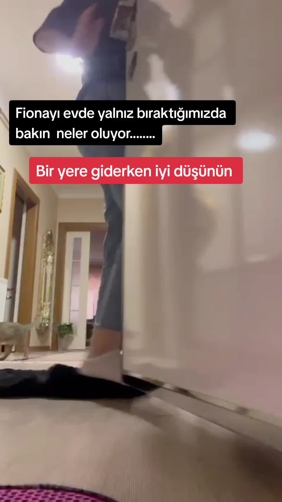 @naciye78
