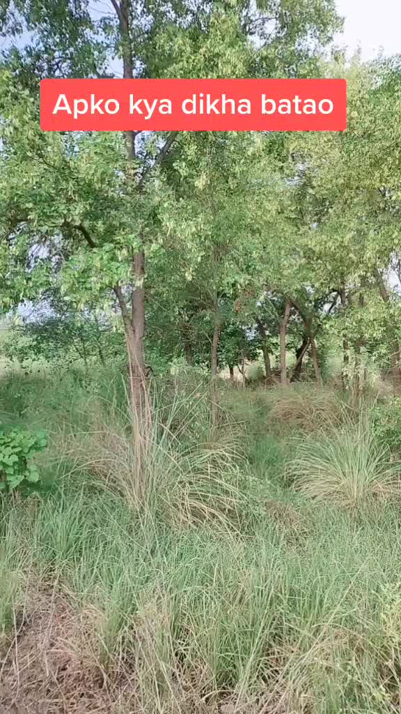 @Nitesh yadav