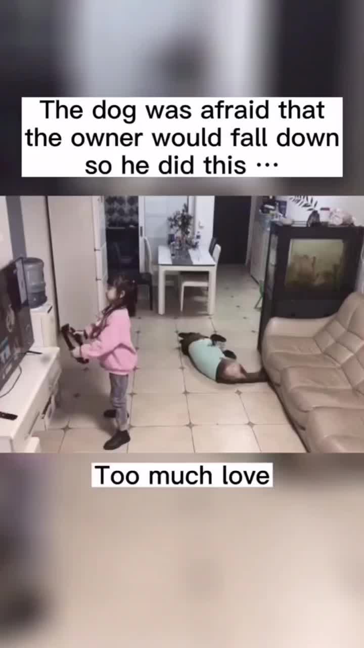 @Houseday007