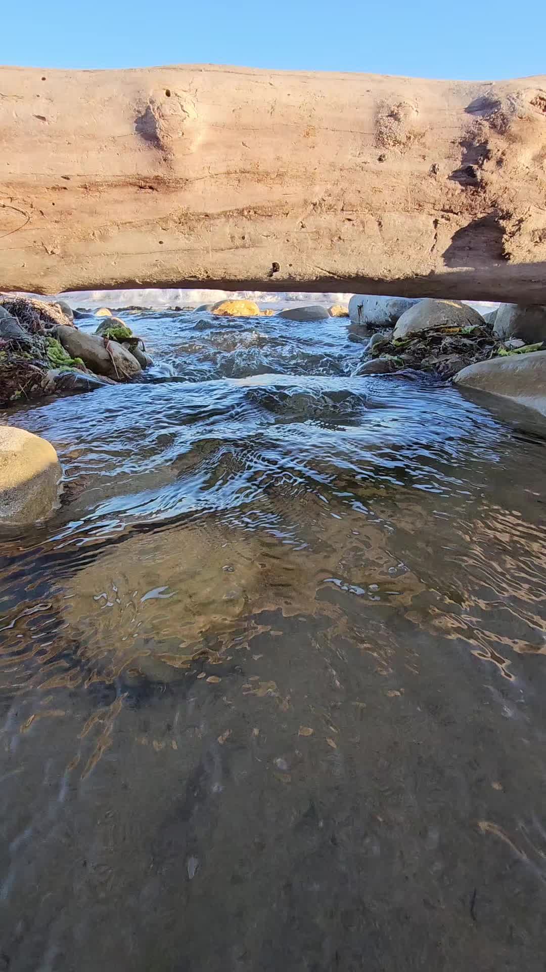 @GOTT YOU COVERED SERVICES LLC