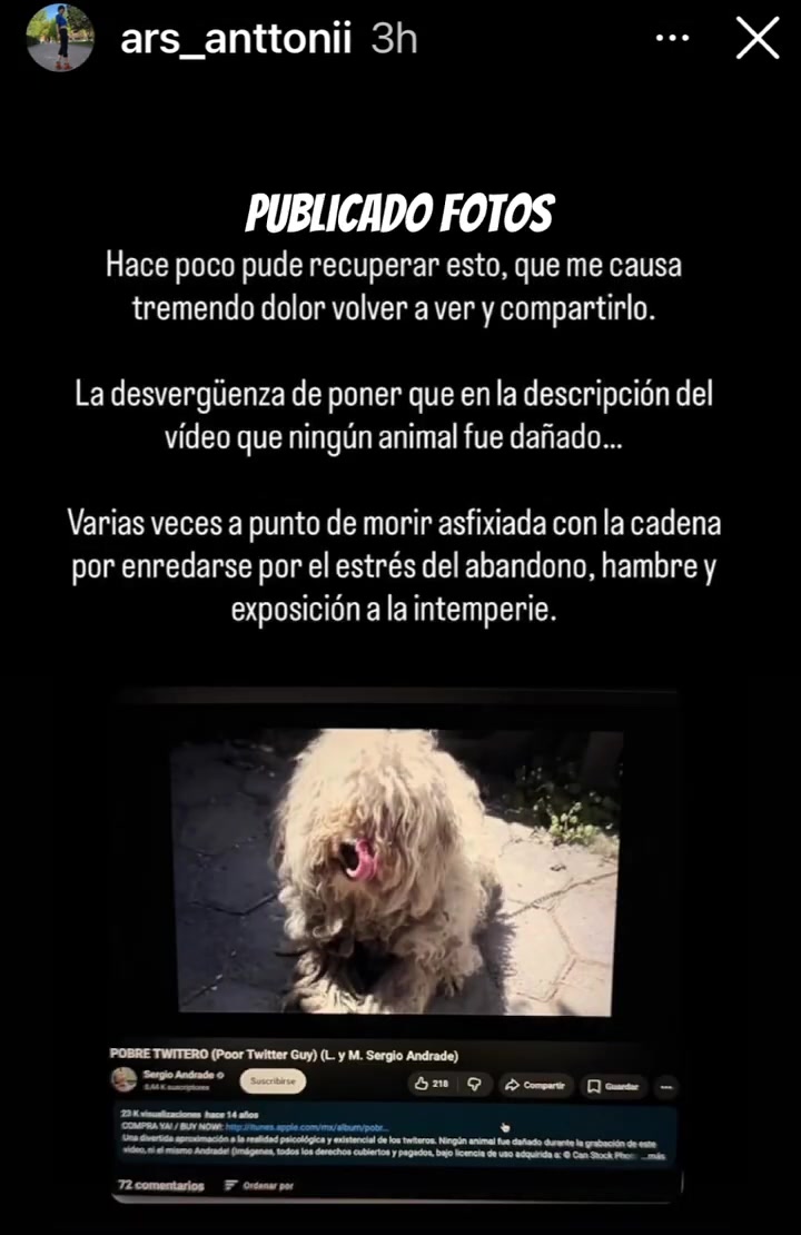 @anaylosmedios