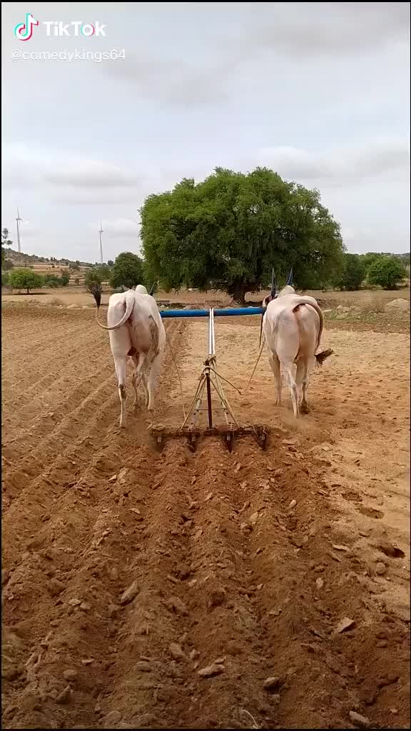 @ಪ್ರವೀಣ್ ಶಿಕಾರಿಪುರ