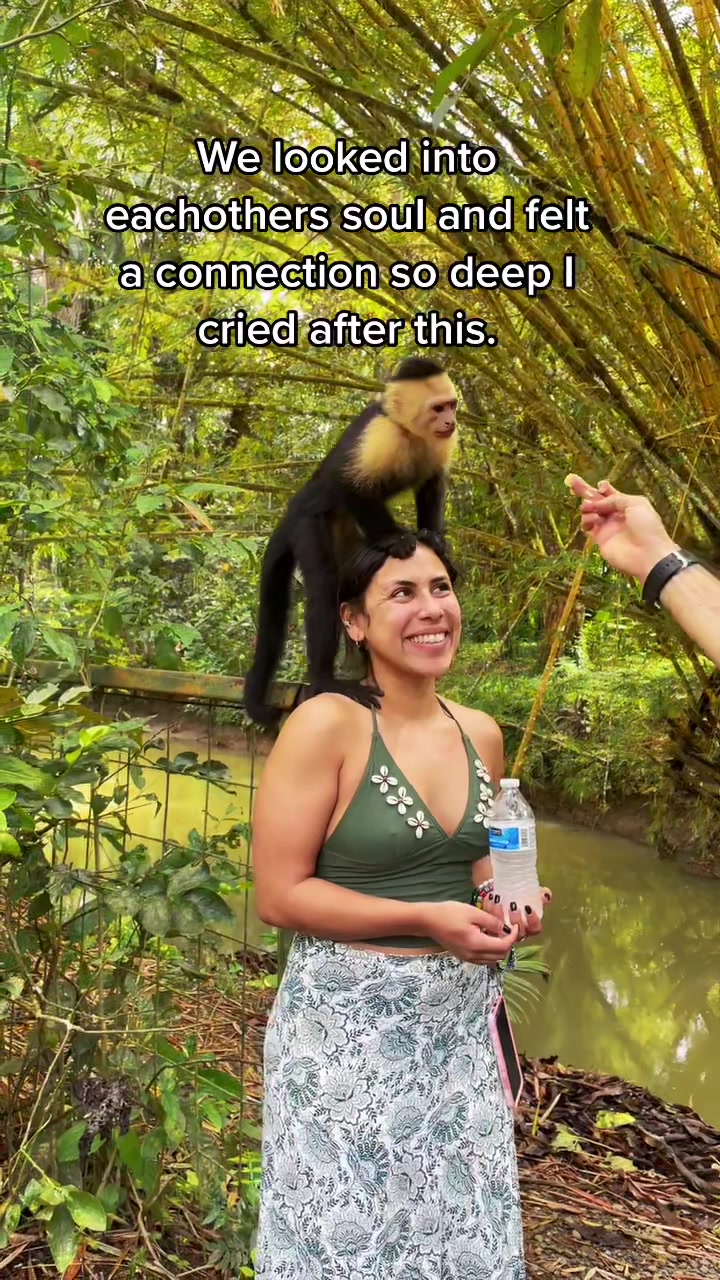 @jooceex