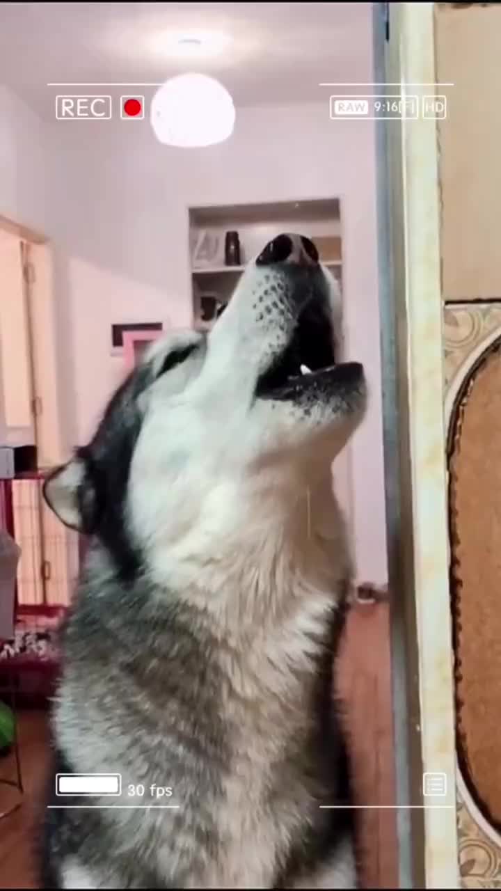 @fyygg12