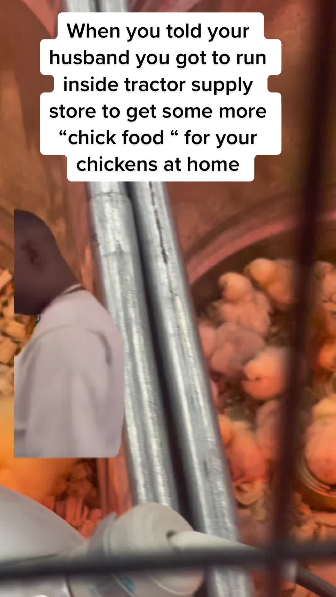 @NonniesFunnyFarm