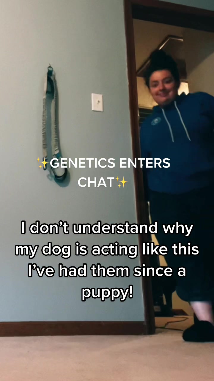 @Kiley - dog trainer