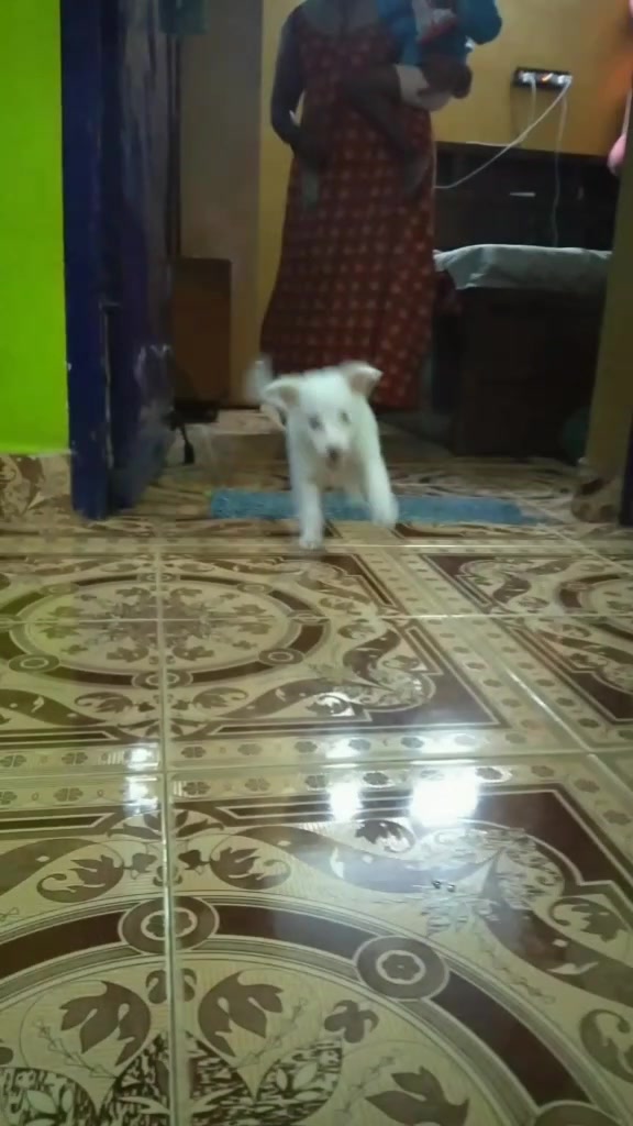 @Sony__nila
