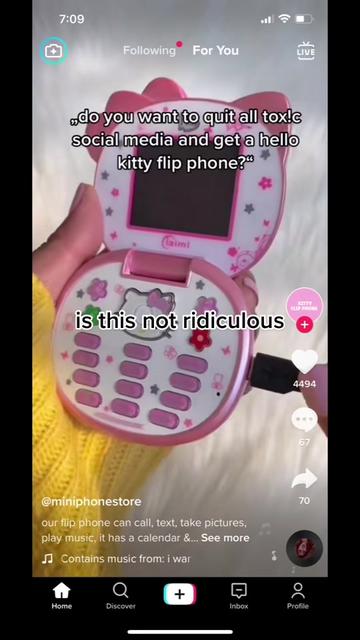 @lulu (ㆆᴗㆆ) DSMP FANS DNI