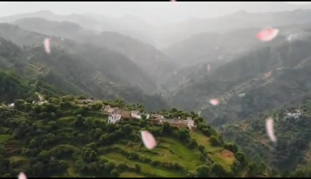 @Ajay_Aj_Rana98