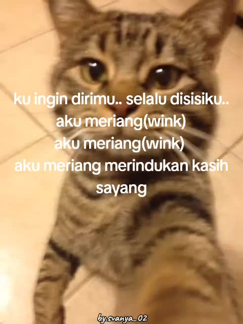 @๐๐๐๐๐๐๐๐.