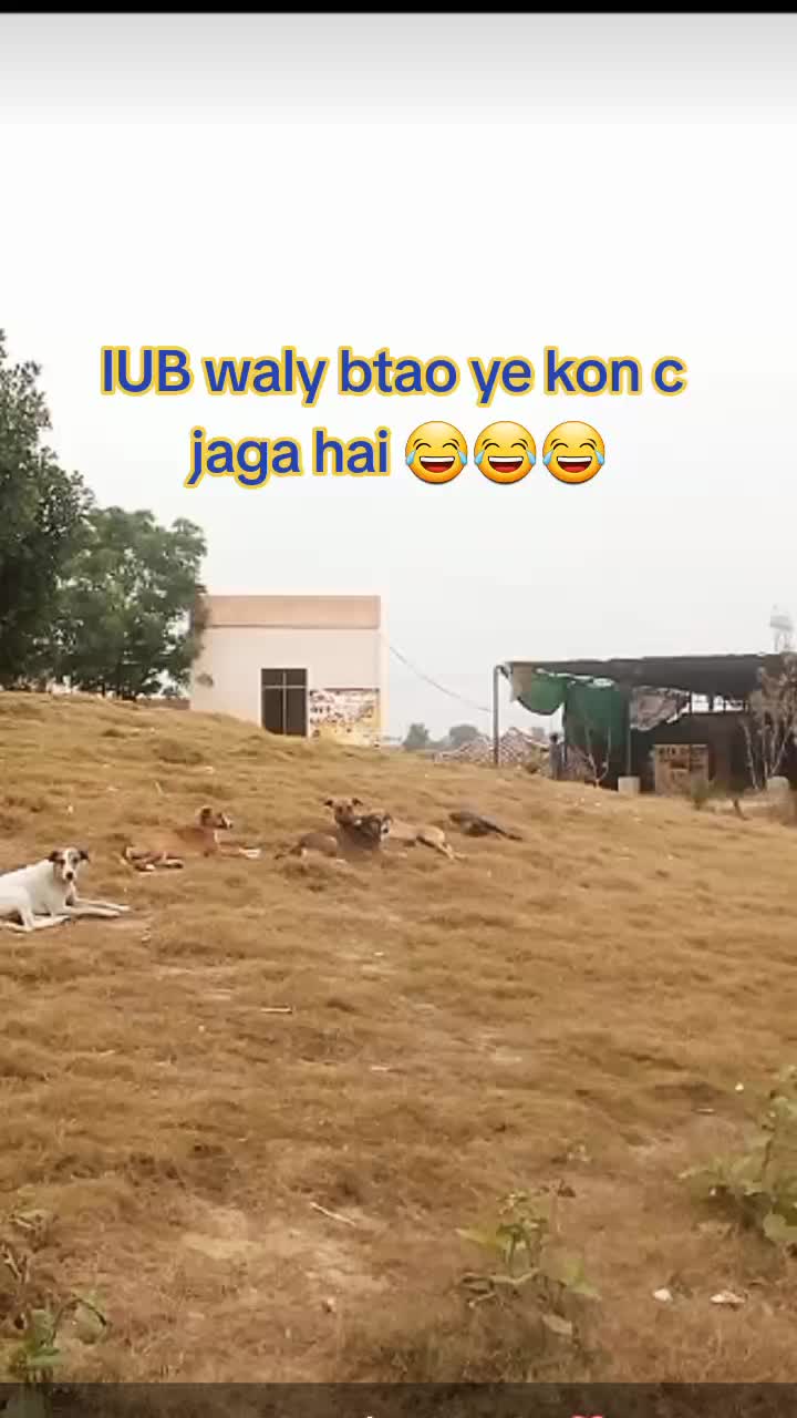 @funny_IUBian RYK 😂🤣