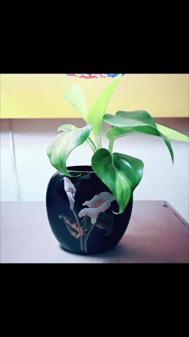 @Art-Plant-Upcycle