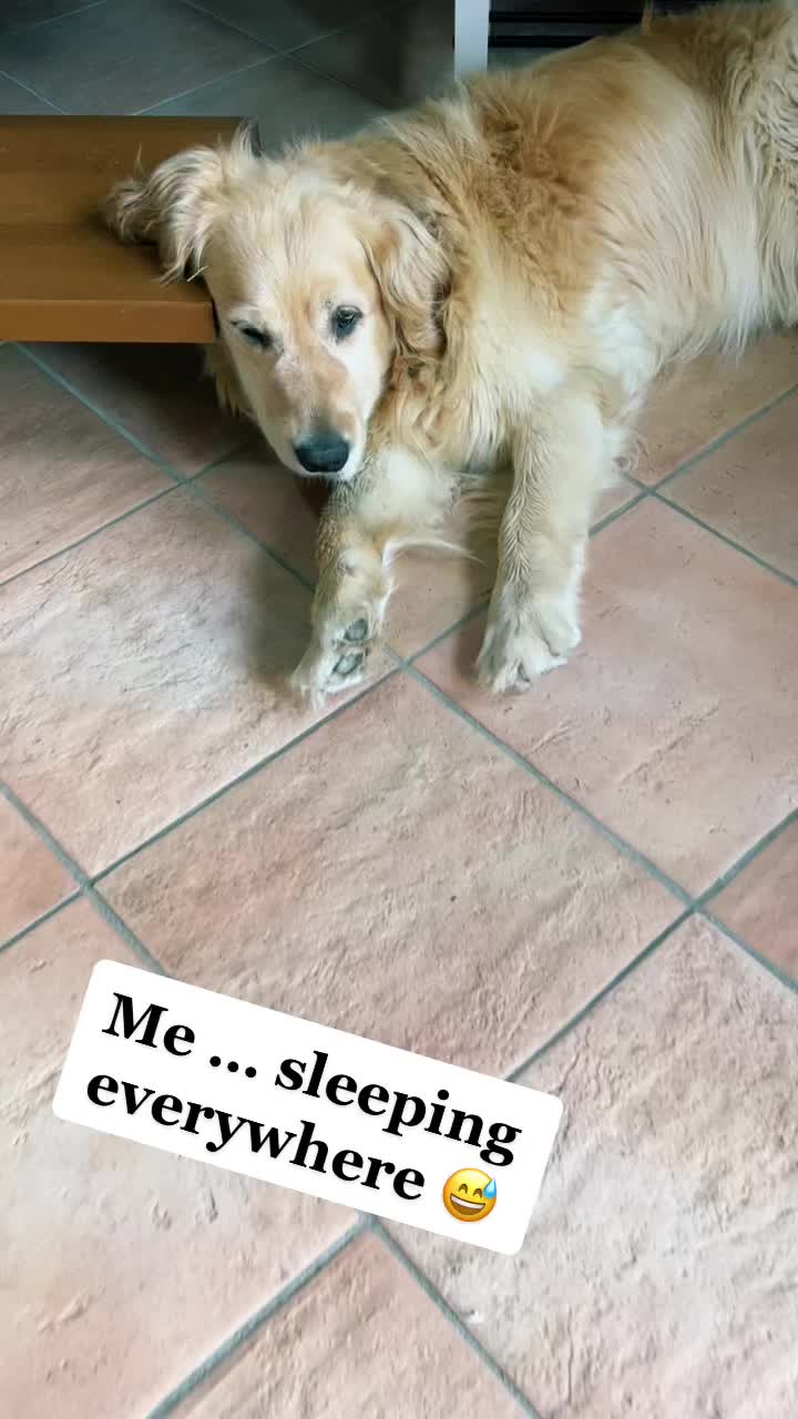 @🐶PENNY🐶