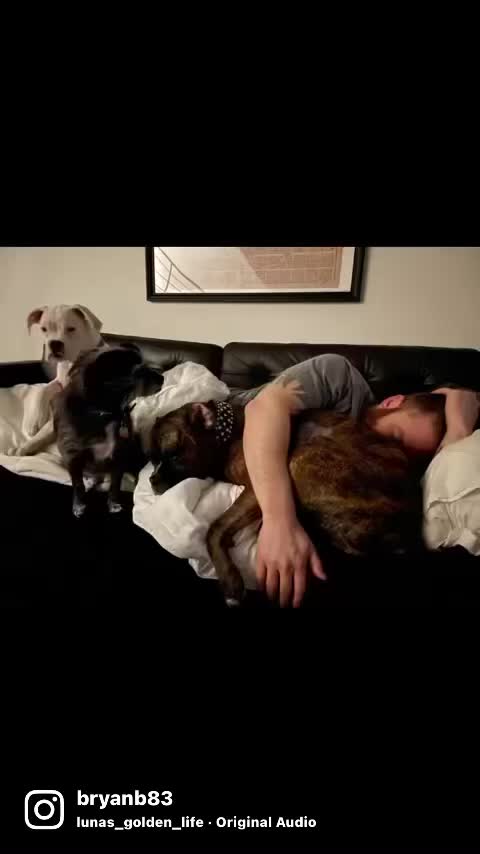 @Bryan_After_Last