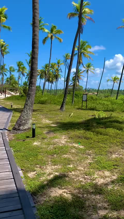 @Josiane Barbosa Pere