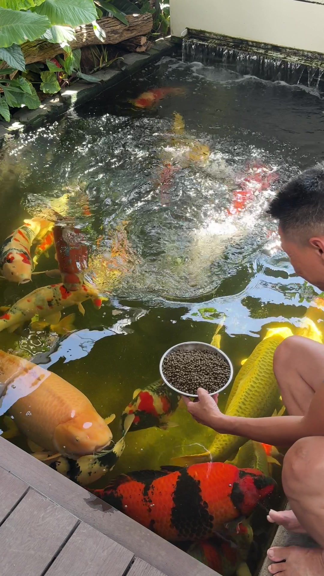 @Nguyễn Ho&agrave;ng Linh