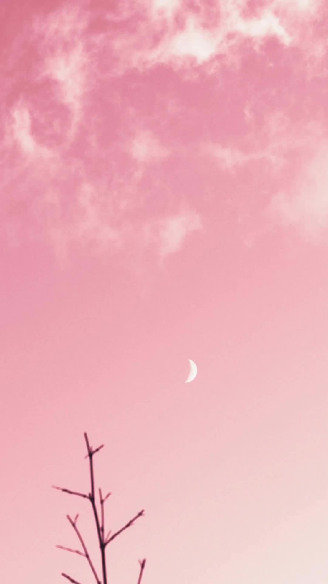 @Autumn <3
