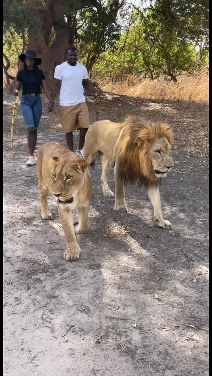 @awa sonko