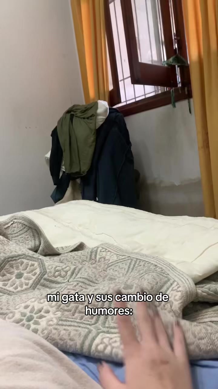 @renalafuente_