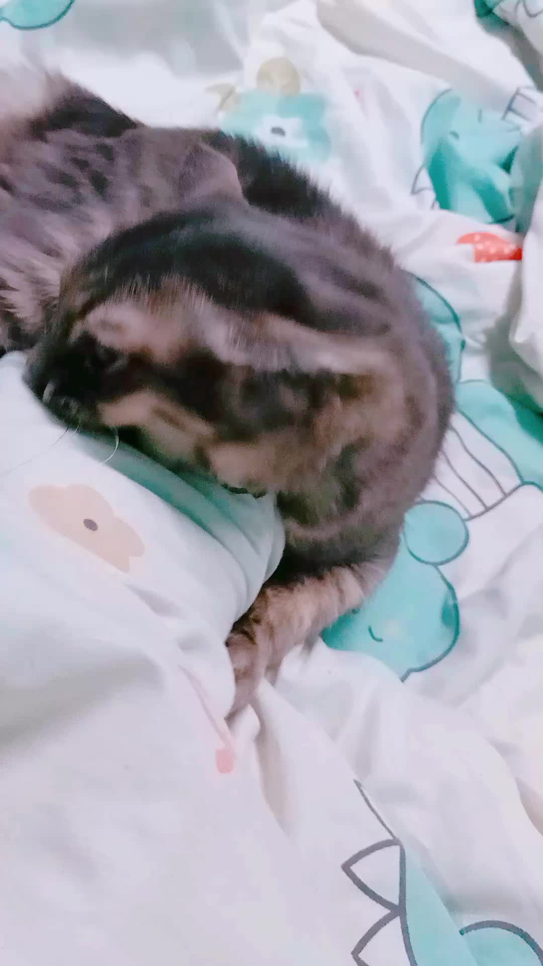 @oummy0612
