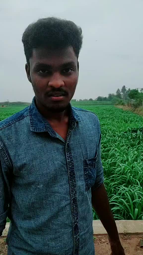 @Adhi Tennyson