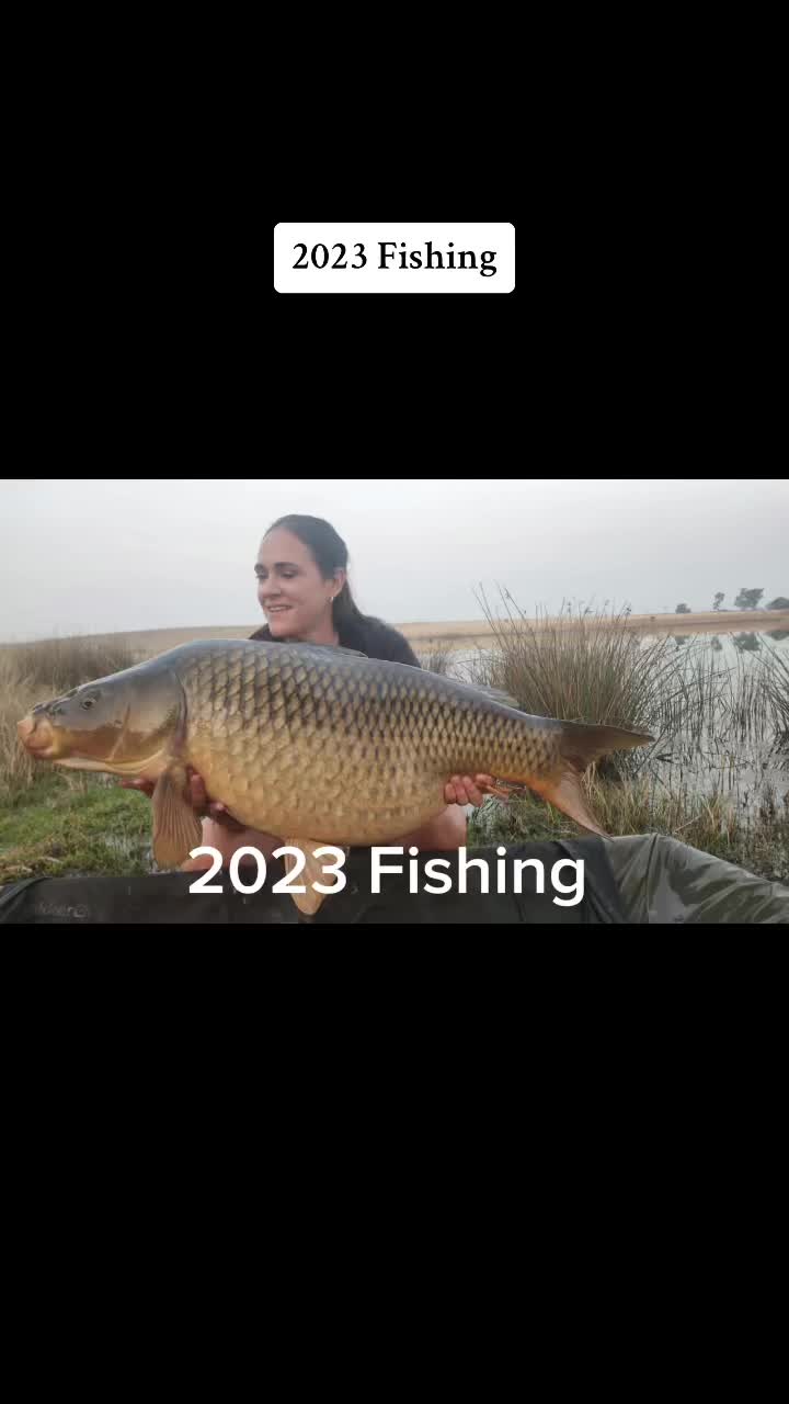 @yvettewessels1