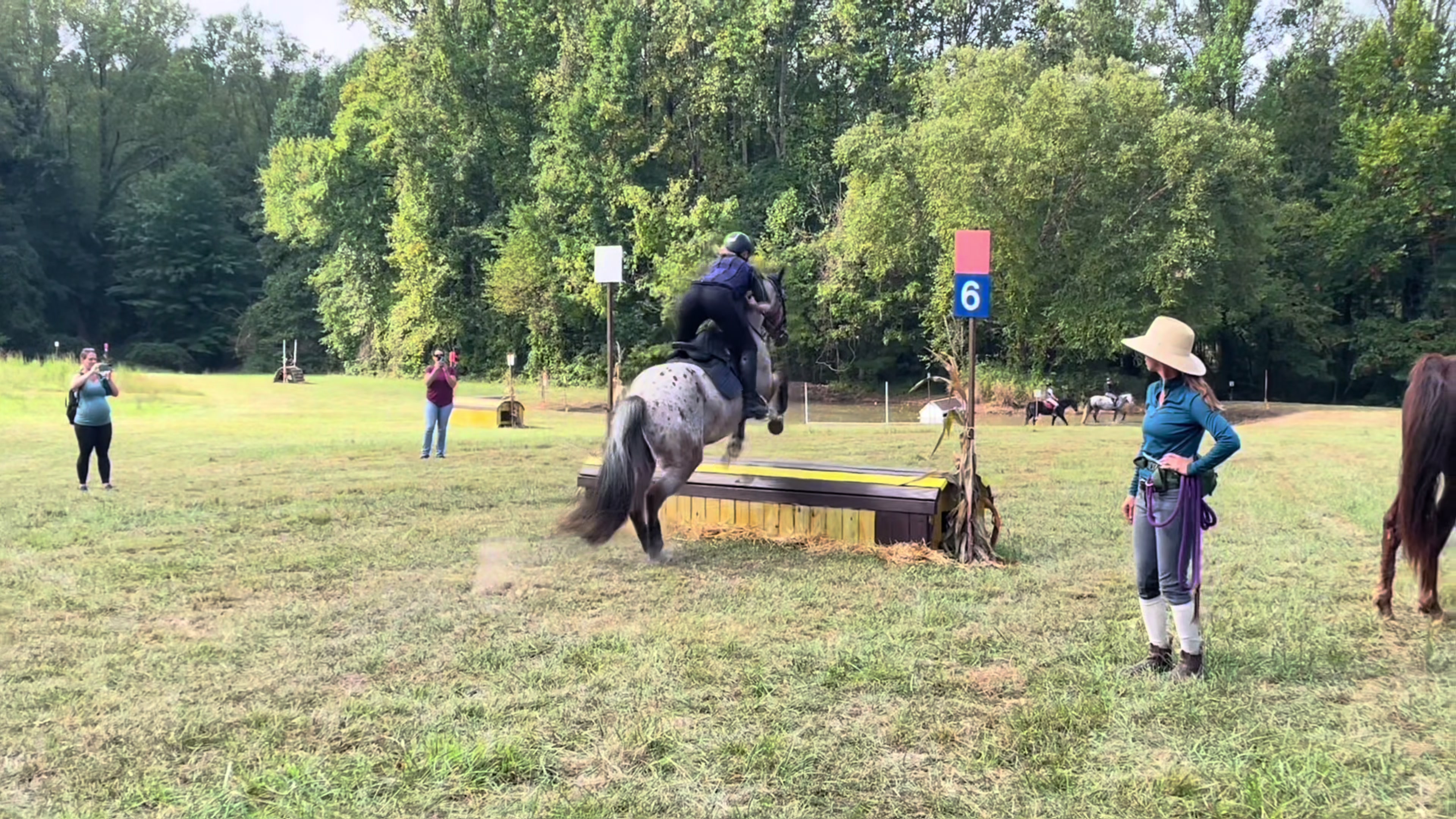 @Equestrian 🐴🐎