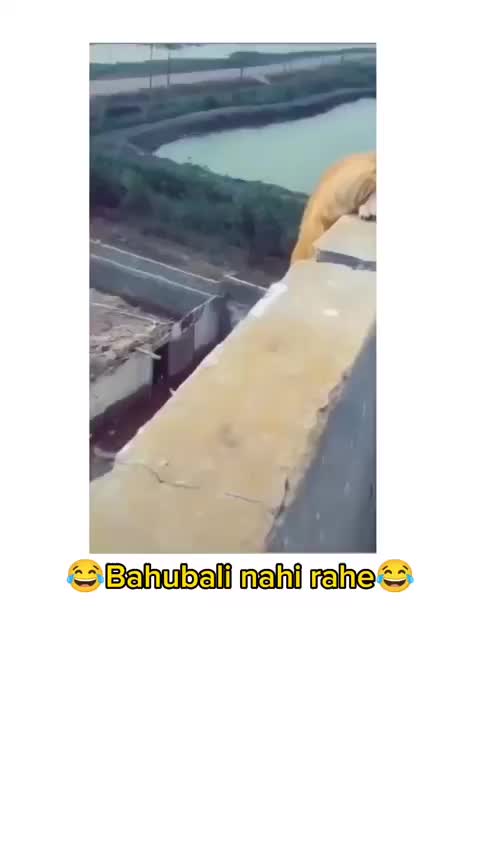 @⇝𝐻𝒶𝓈𝓈𝒶𝓃👀