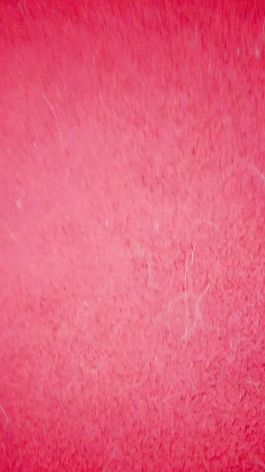 @LoneWolf16