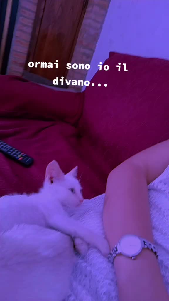 @Morea Di Pietro