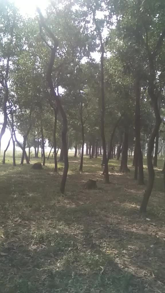 @Uttam Kumar Podha689