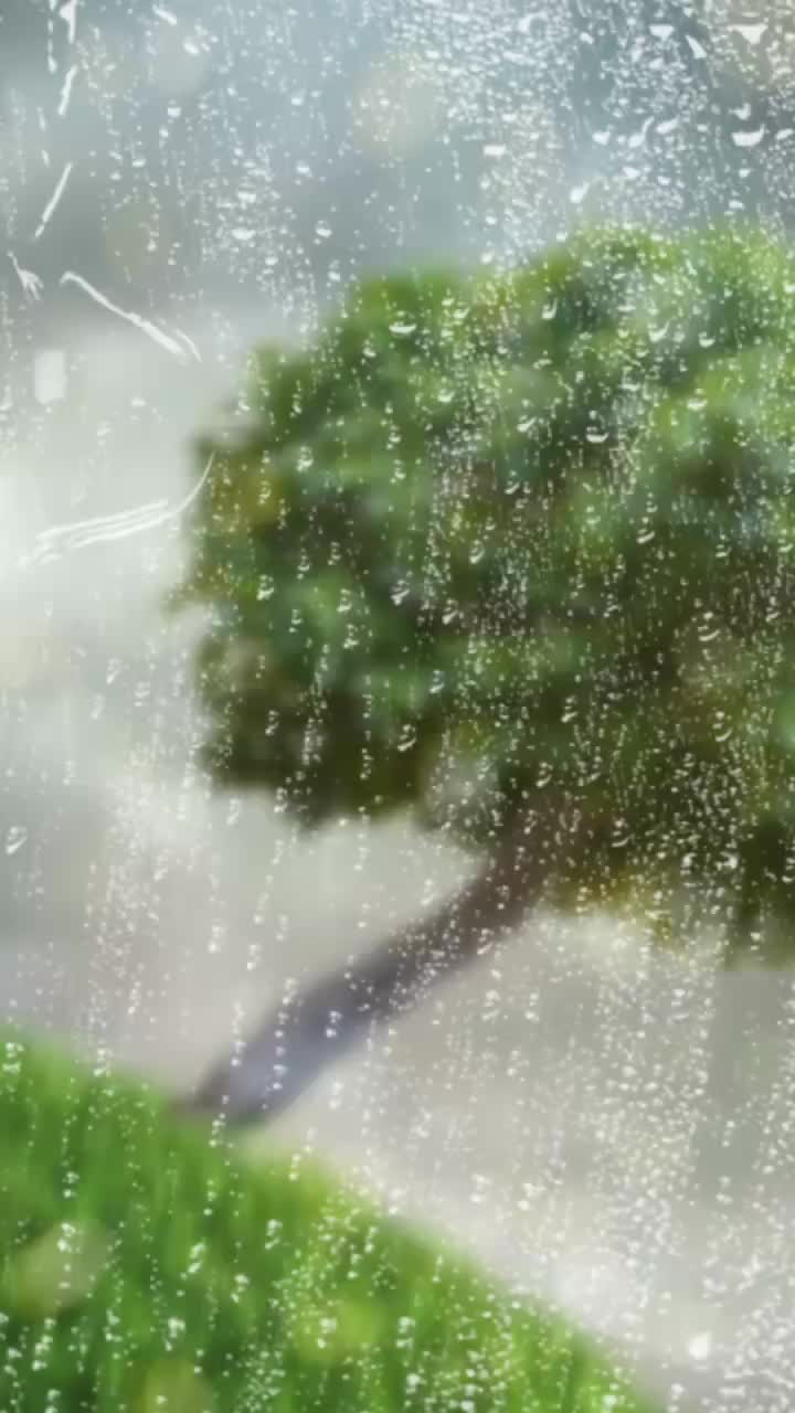 @Adaa Patel 0726