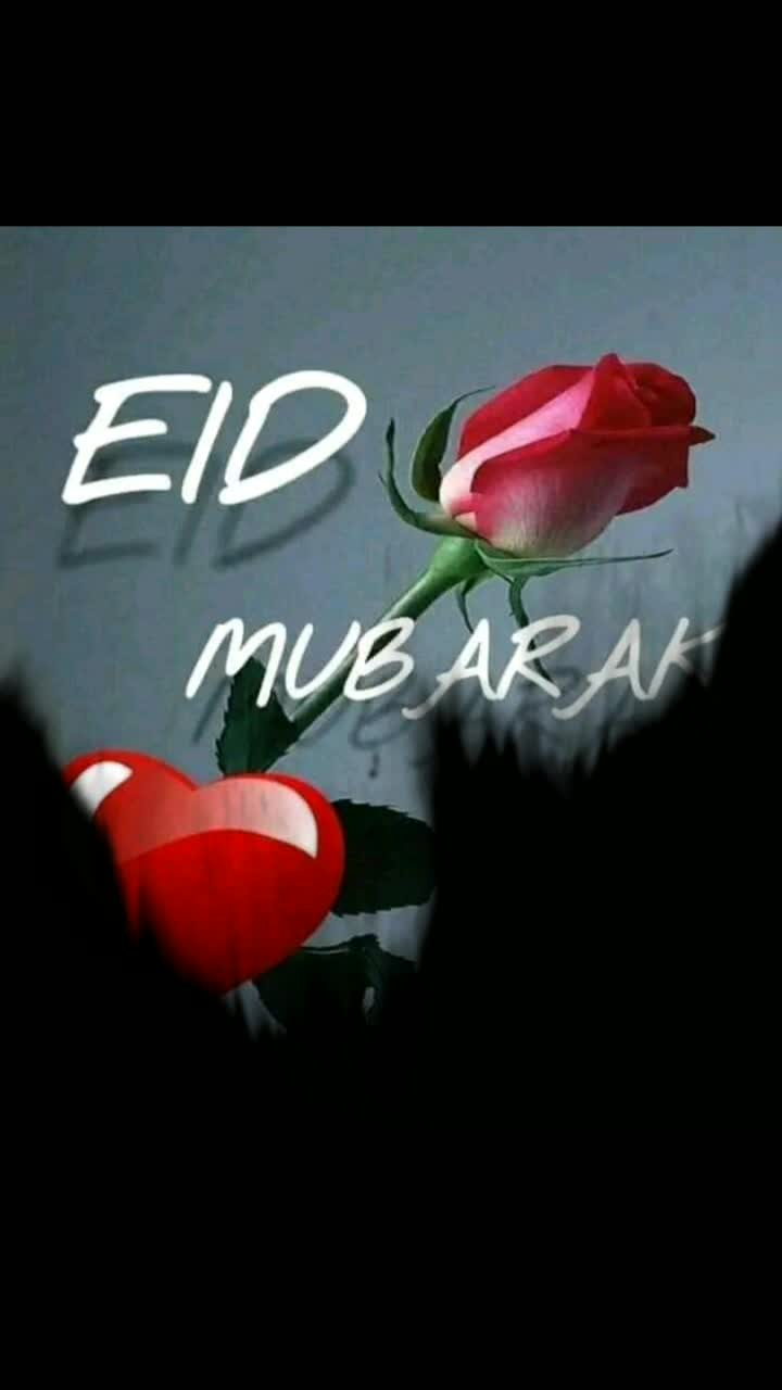 @Shahrukh King