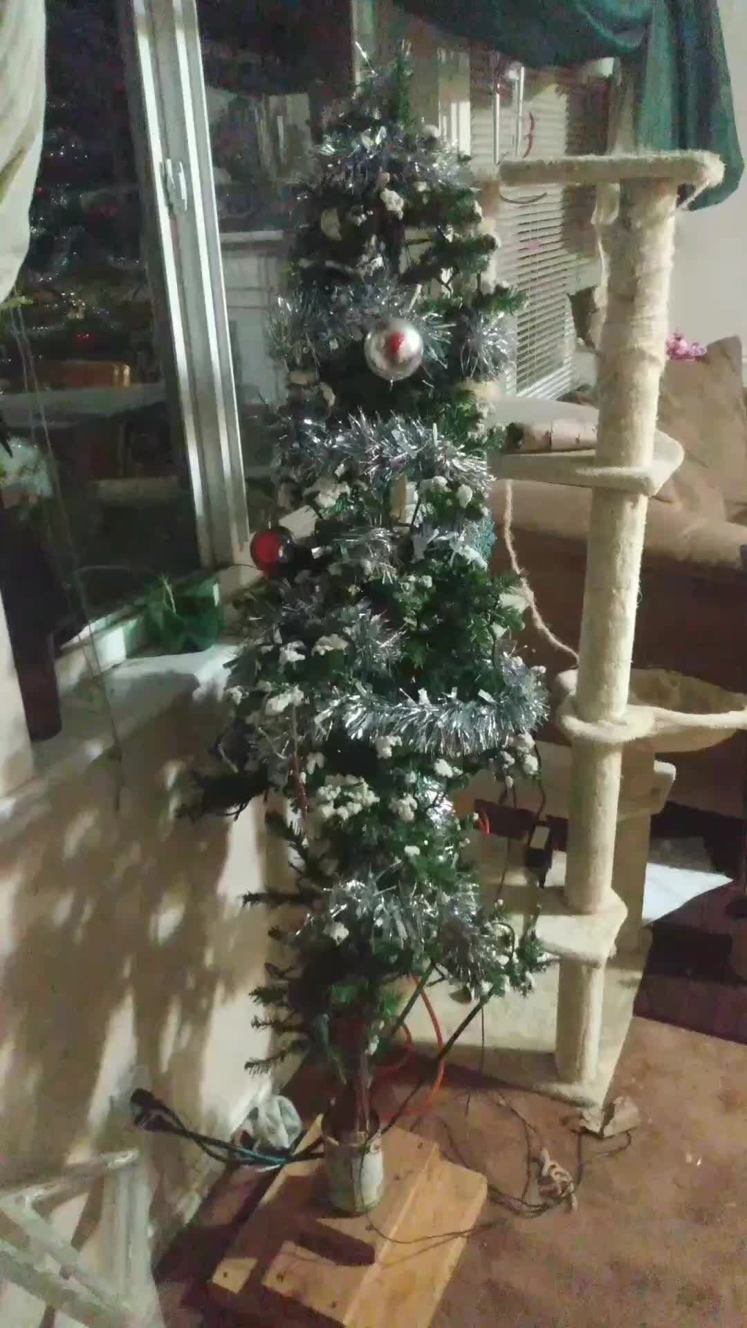 @mucidia.s