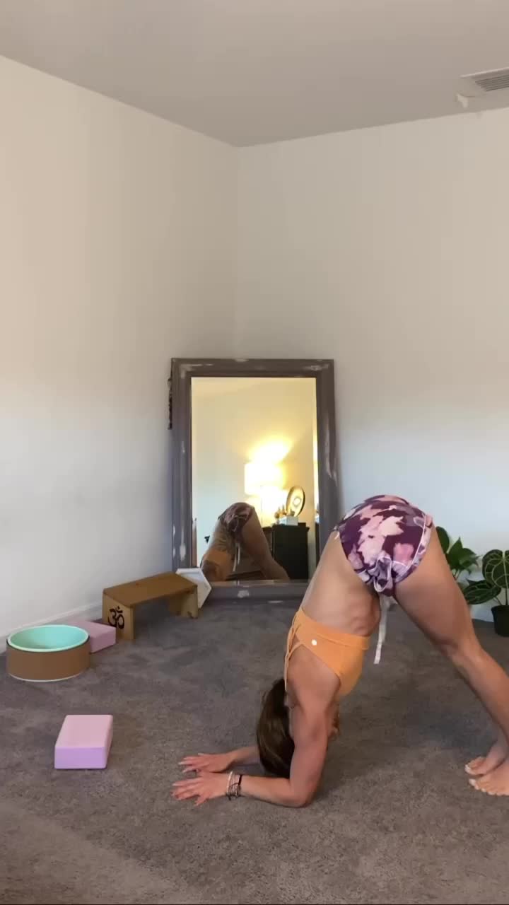 @jessicasteckert