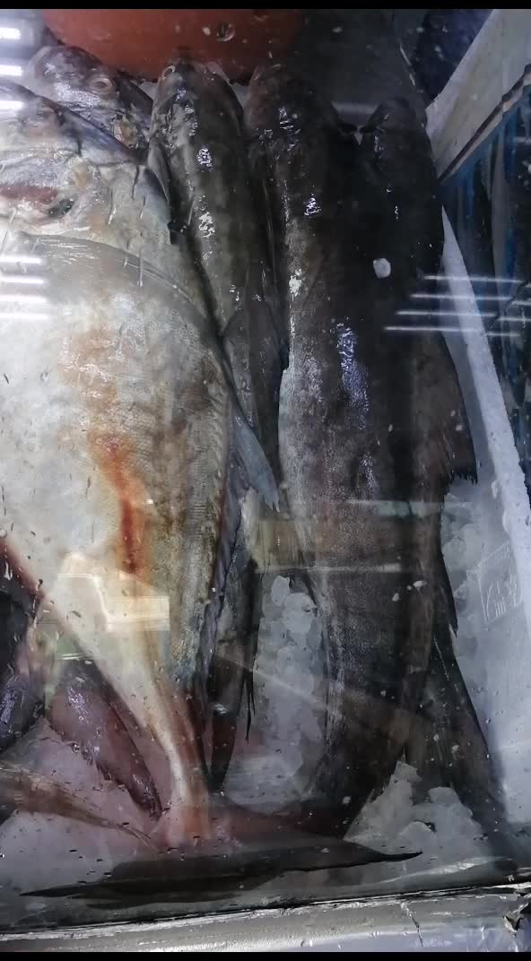 @fish mart@007