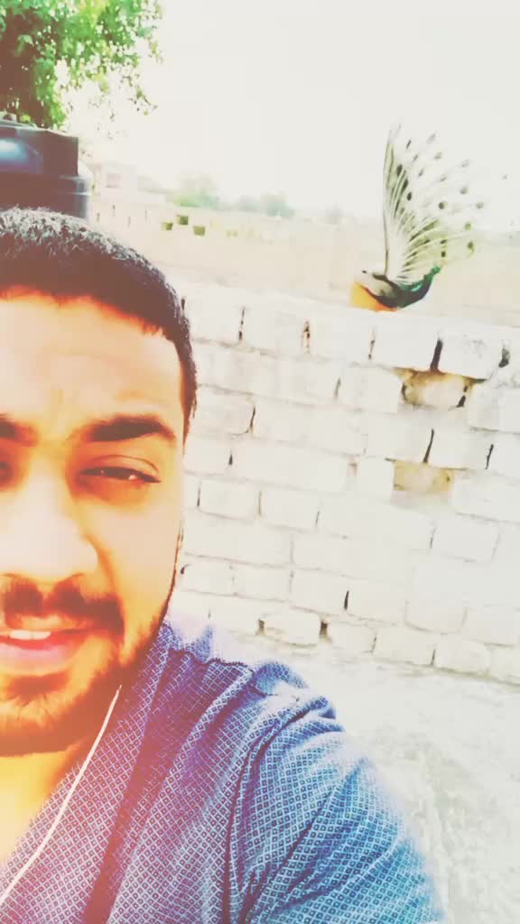 @Shivender😎 Bhardwaj