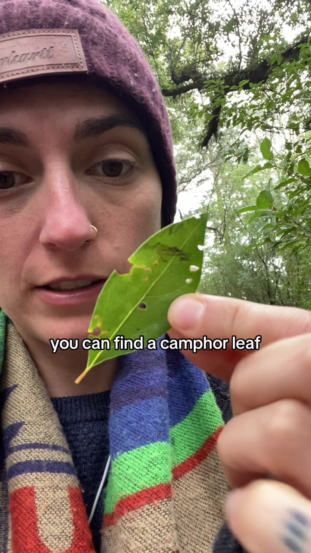 @The herb nerd