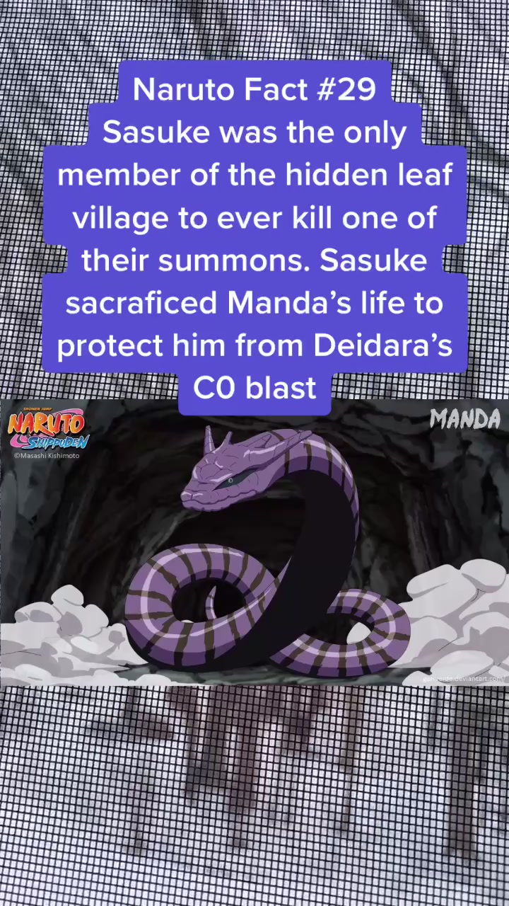 @🍥