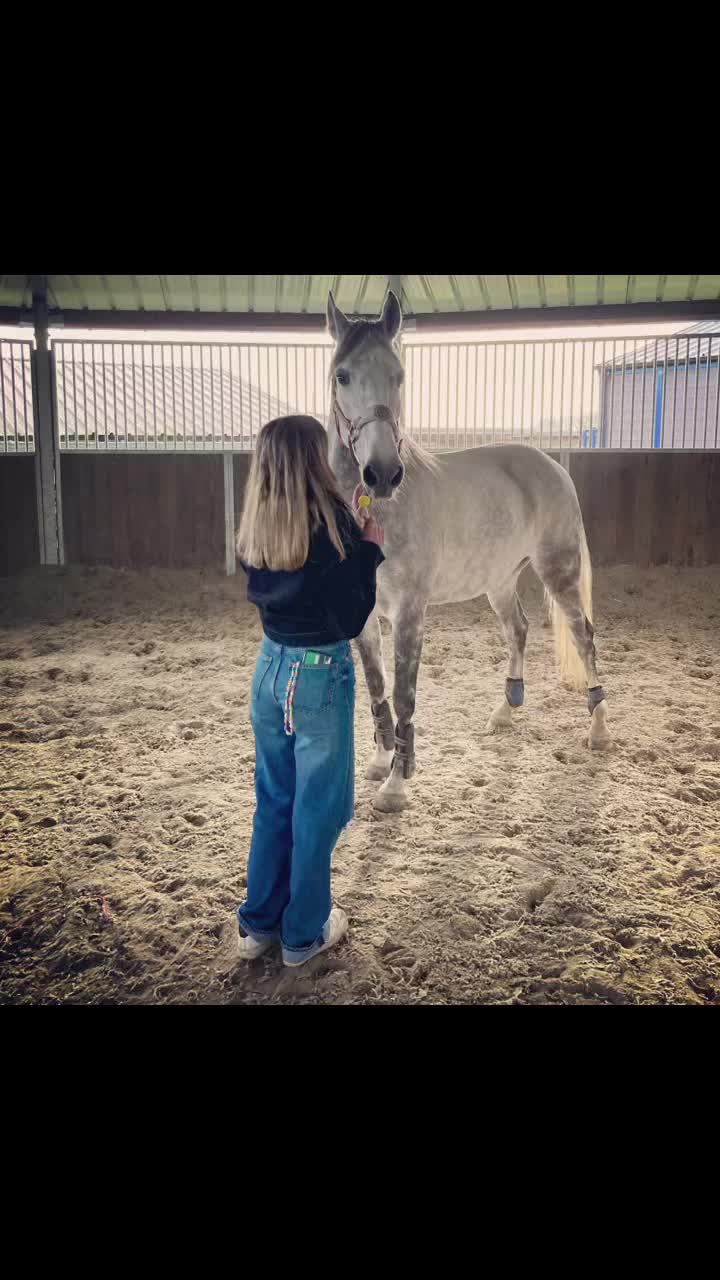 @Kenzo petit cœur 💖
