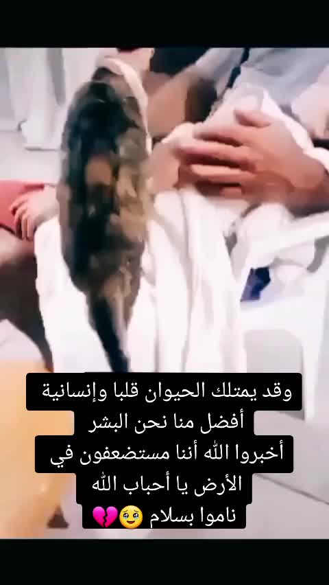 @Sundus ❤