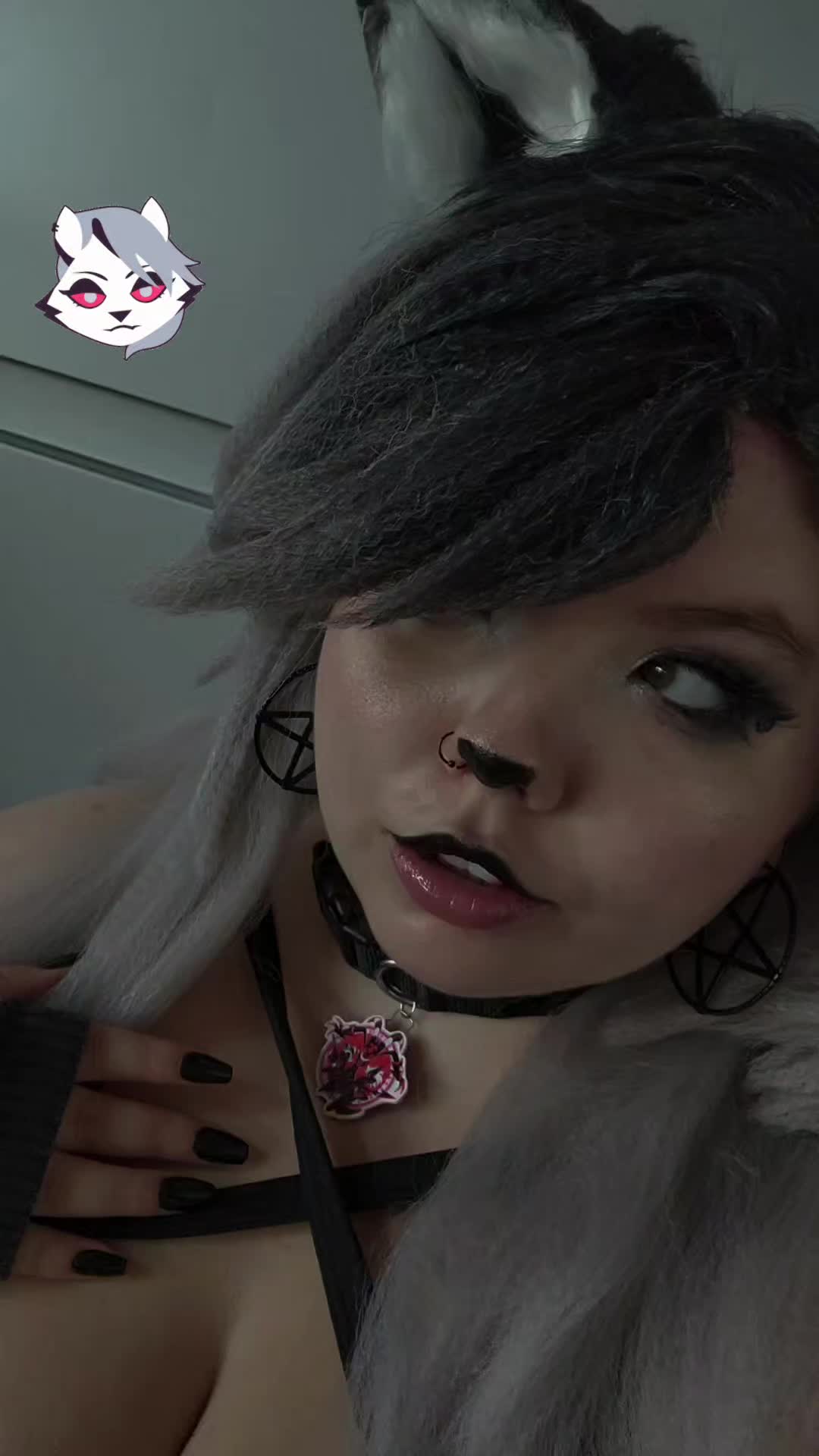 @Lil_Fox_Kit