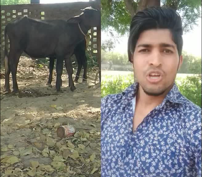 @Sanjay Kumar