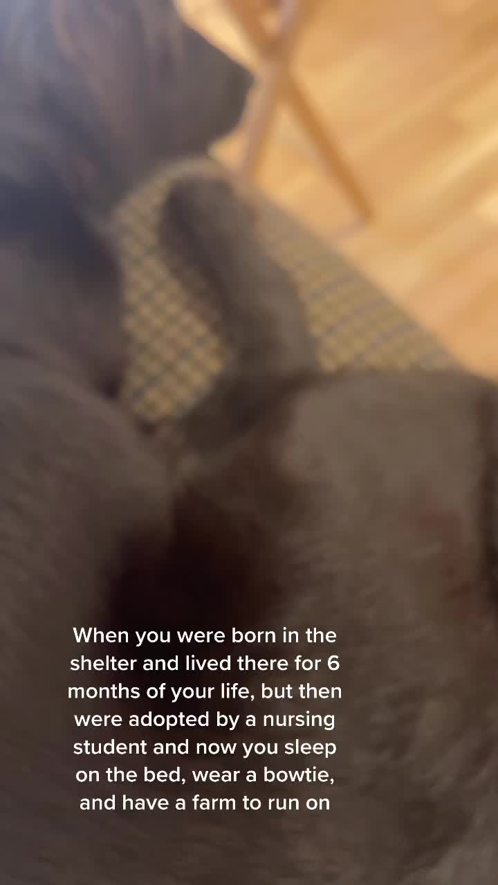 @ana