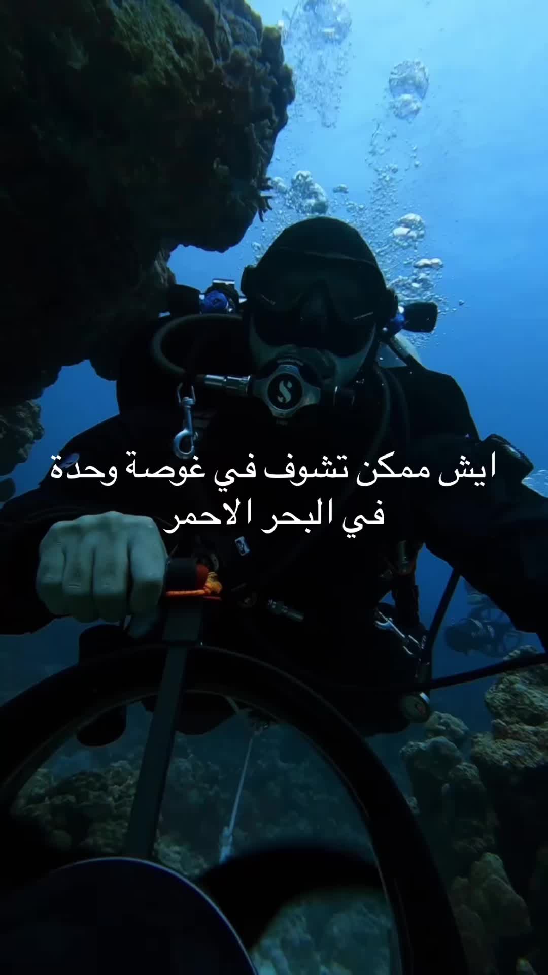 @M_Z