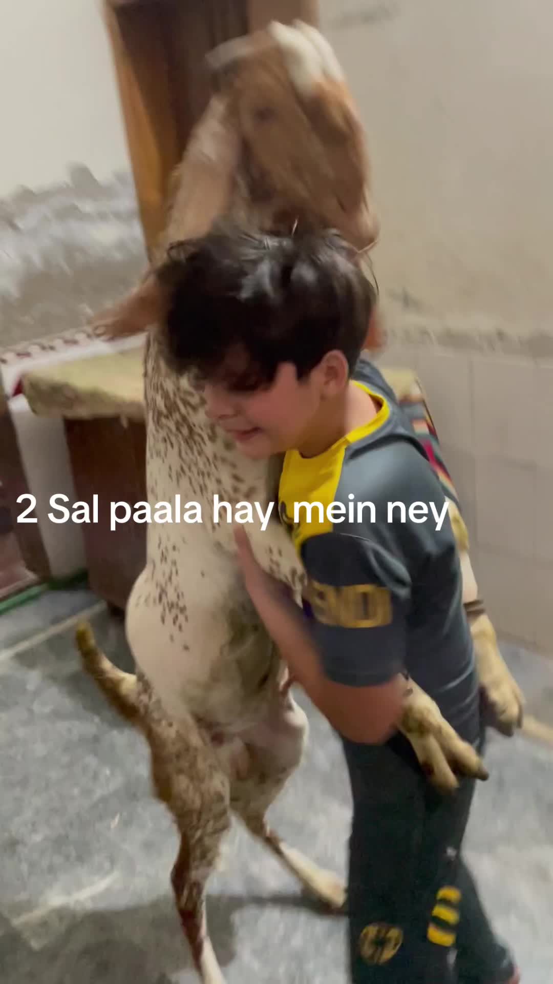 @azanbutt8881