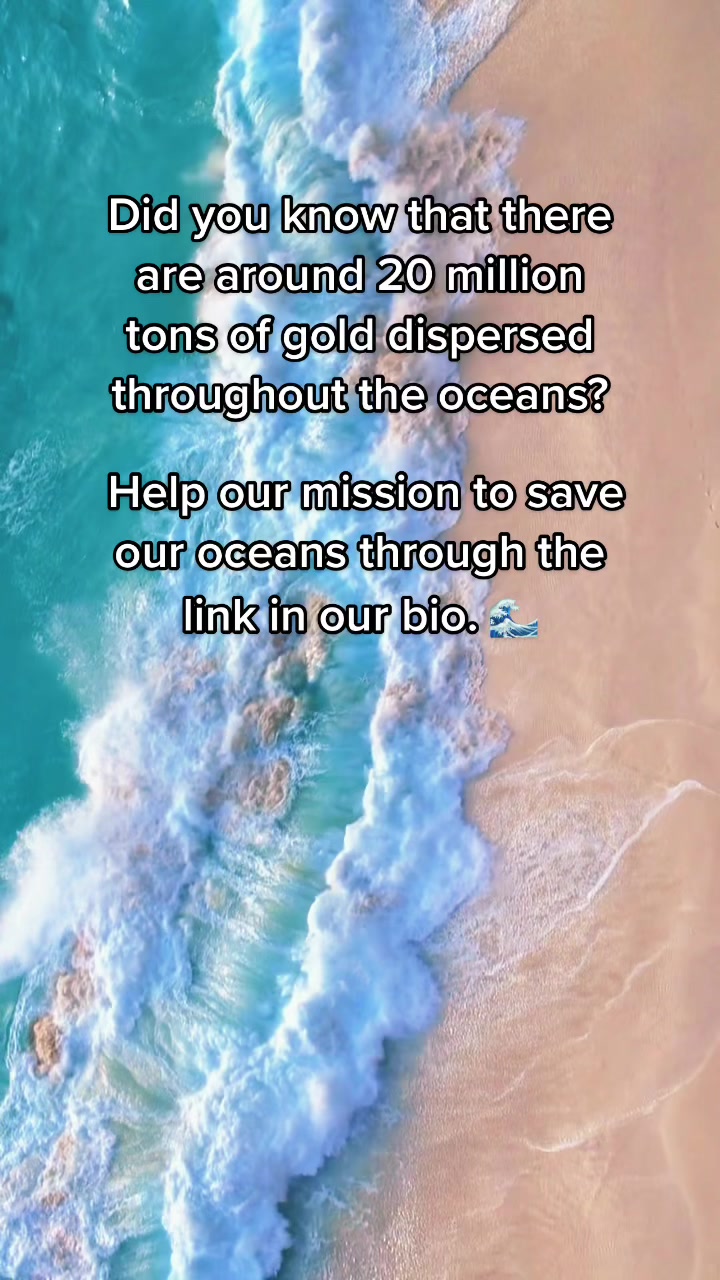 @Ocean Project