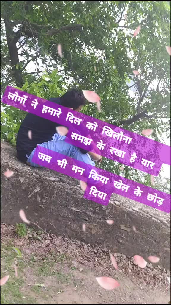 @dinesh patel