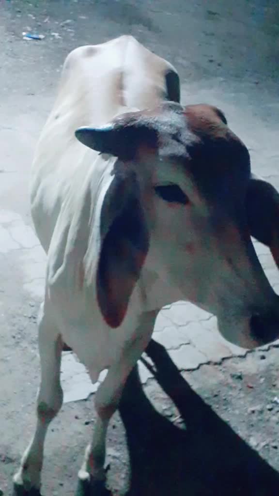 @Muru Chhuchhar