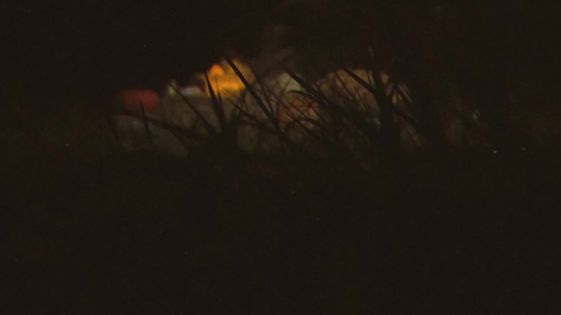 @The End of Days Drive-In